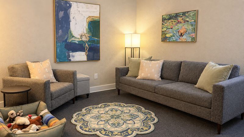 Frisco counseling room with a gray sofa and armchair, a floor lamp, a round rug and framed paintings